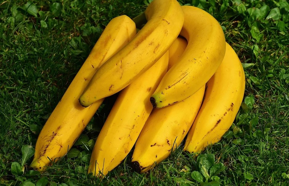 طريقة حفظ الموز