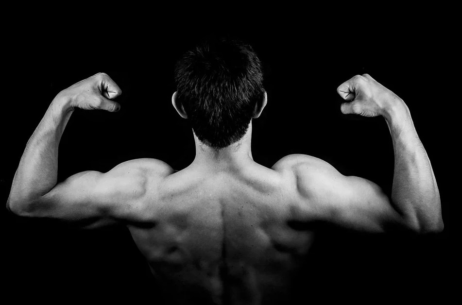 صورة لعضلات وهى من فوائد الرياضة للجسم 