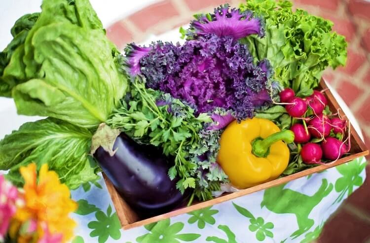 صورة خضراوات وتوضيح فوائد الالياف الغذائية لصحة الجسم