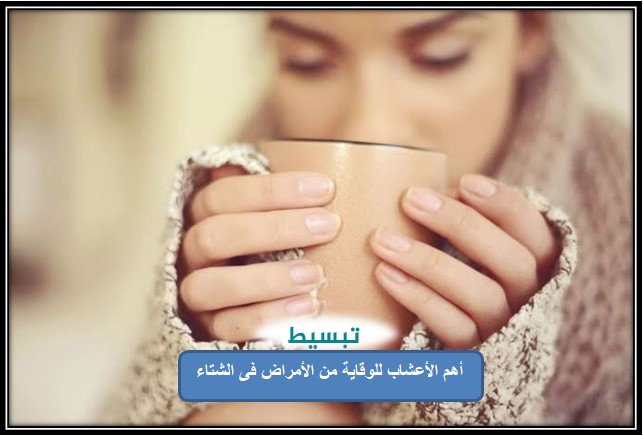 أهم الأعشاب للوقاية من الأمراض فى الشتاء