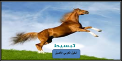 الخيل العربي الأصيل