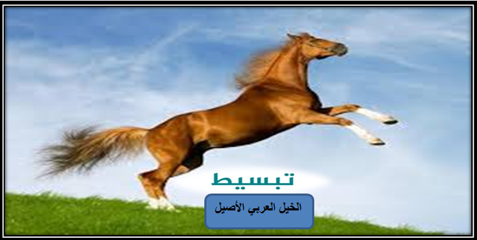 الخيل العربي