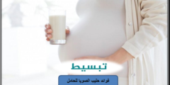 فوائد حليب الصويا للحامل